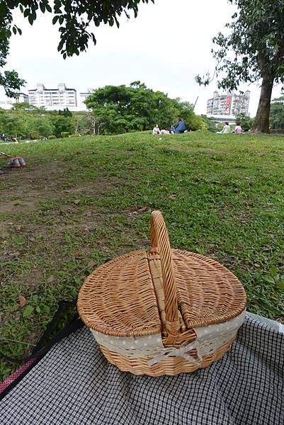 亞亞的野餐約會《華山大草原》 (21).JPG