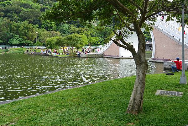 亞亞的野餐約會《大湖公園》 (23).JPG