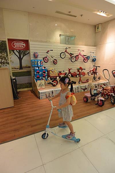 亞亞鬥杜鵑 (2).JPG