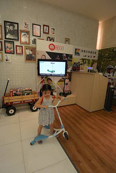 亞亞鬥杜鵑 (3).JPG