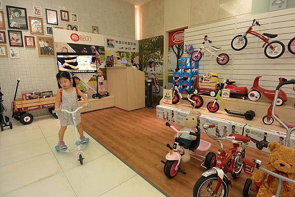 亞亞鬥杜鵑 (4).JPG