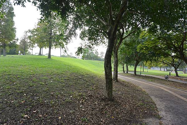 亞亞的野餐約會《大溪埔頂公園》 (40).JPG