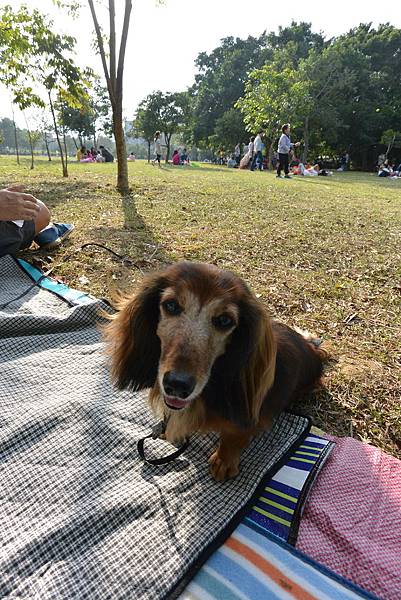 亞亞的野餐約會《八德埤塘生態公園》 (9).JPG