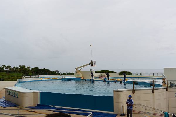 日本沖縄県沖縄美ら海水族館 (9).JPG