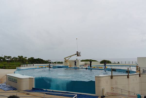 日本沖縄県沖縄美ら海水族館 (11).JPG