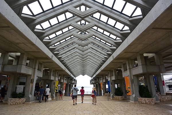 日本沖縄県沖縄美ら海水族館 (84).JPG