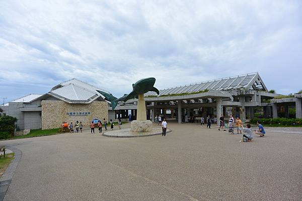 日本沖縄県沖縄美ら海水族館 (83).JPG