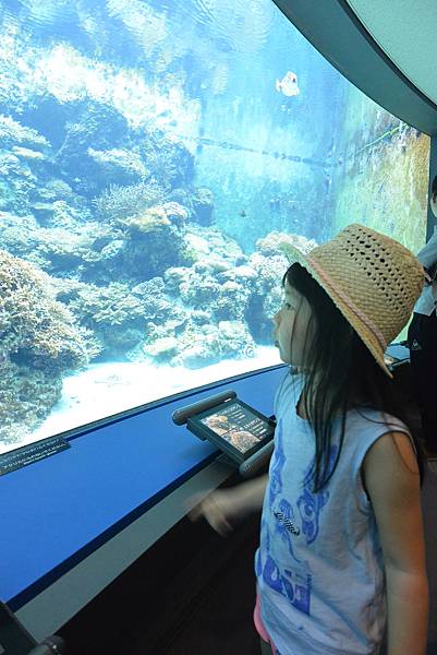 日本沖縄県沖縄美ら海水族館 (94).JPG