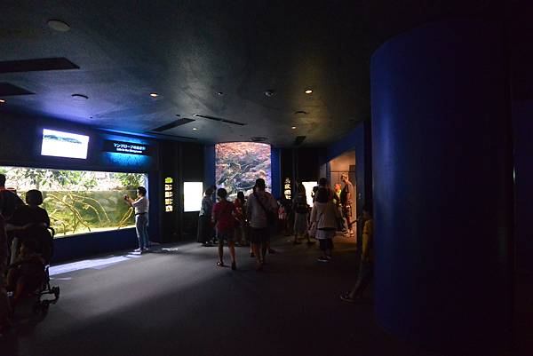 日本沖縄県沖縄美ら海水族館 (99).JPG