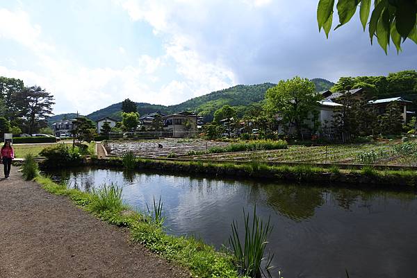 日本山梨県忍野八海周邊 (61).JPG