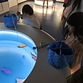 宜蘭縣蘇澳鎮安永心食館：海洋漁樂館 (7).JPG