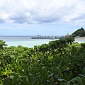 日本沖縄県ブセナ海中公園：ガラス底ボート (17).JPG