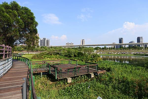 桃園縣中壢市青塘園 (64).JPG