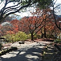 日本佐賀県御船山楽園 (10).JPG