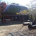 日本佐賀県御船山楽園 (11).JPG