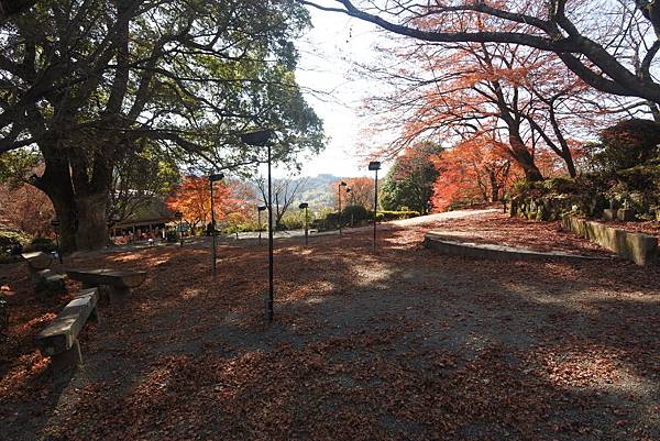 日本佐賀県御船山楽園 (28).JPG