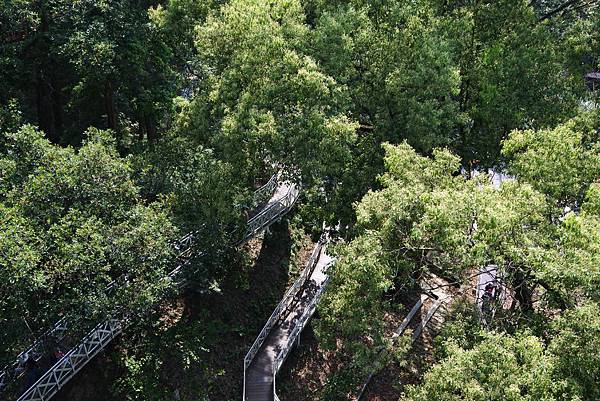 嘉義縣竹崎鄉竹崎親水公園：天空走廊 (1).JPG