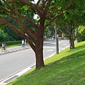 台北市華中河濱公園 (6).jpg