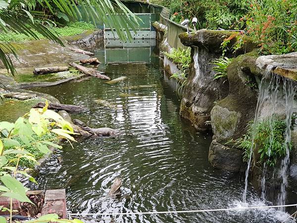 亞亞的動物園家庭日 (71).jpg