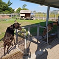 苗栗縣公館鄉棗莊古藝庭園膳坊 (10).jpg