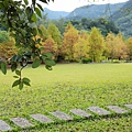 苗栗縣南庄鄉南庄雲水度假森林：羽松湖草原 (5).jpg