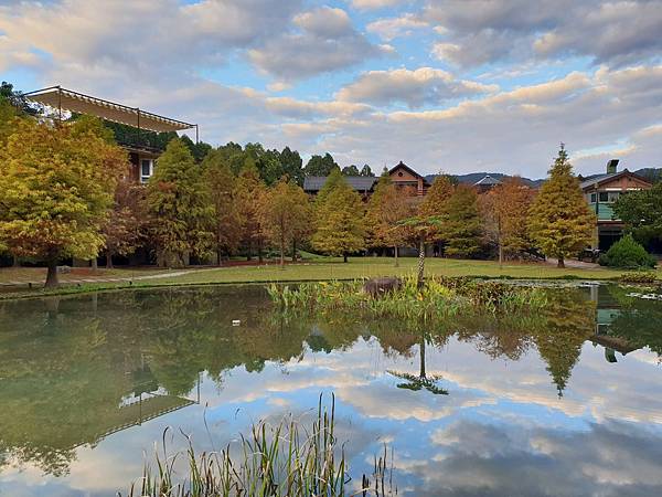 苗栗縣南庄鄉南庄雲水度假森林：羽松湖草原 (20).jpg