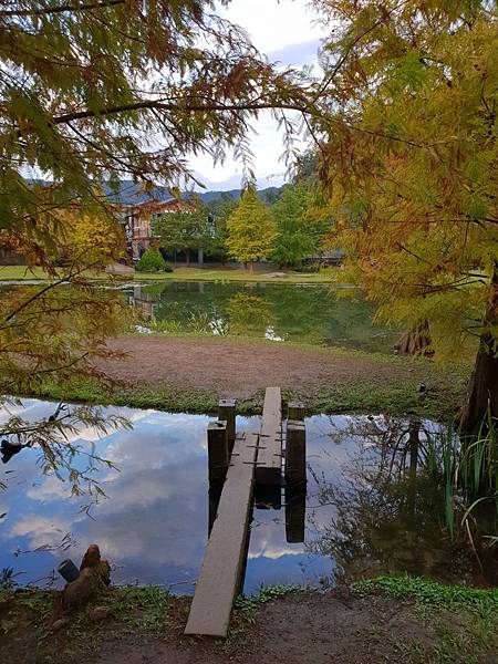 苗栗縣南庄鄉南庄雲水度假森林：羽松湖草原 (22).jpg