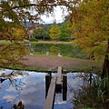 苗栗縣南庄鄉南庄雲水度假森林：羽松湖草原 (22).jpg