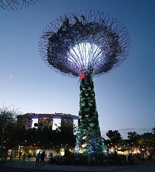 新加坡Gardens by the Bay (1).jpg