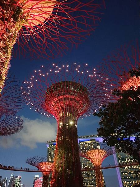 新加坡Gardens by the Bay (5).jpg