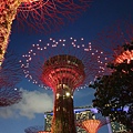 新加坡Gardens by the Bay (5).jpg