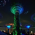 新加坡Gardens by the Bay (7).jpg