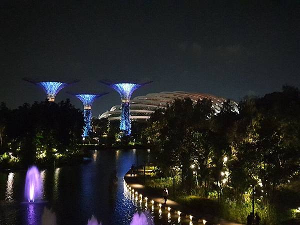 新加坡Gardens by the Bay (19).jpg