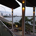 新加坡Gardens by the Bay (48).jpg