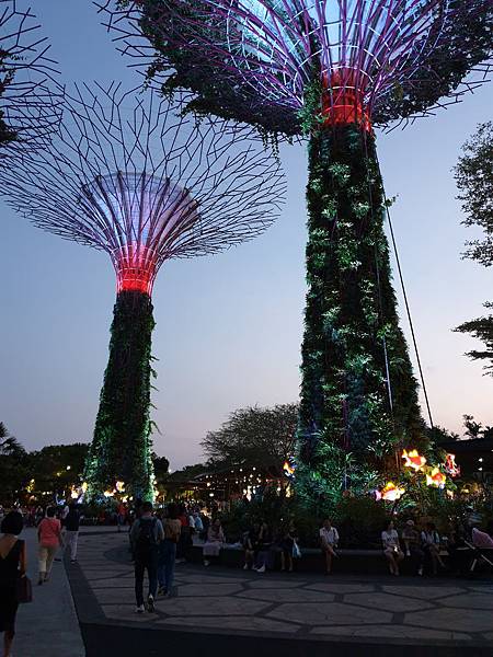 新加坡Gardens by the Bay (58).jpg