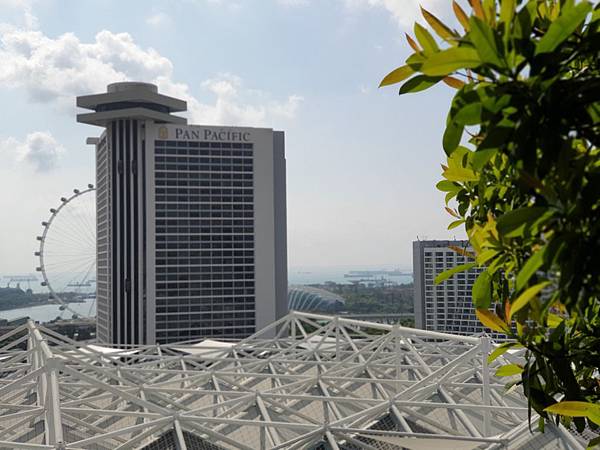 新加坡JW MARRIOTT HOTEL SINGAPORE SOUTH BEACH：Outdoor Pool (11).jpg