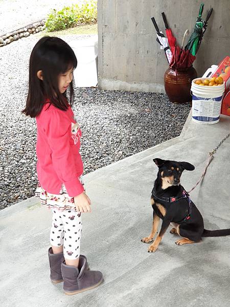 亞亞的蒂蒂餵食秀 (8).jpg