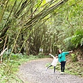 宜蘭縣礁溪鄉林美石磐步道 (8).jpg