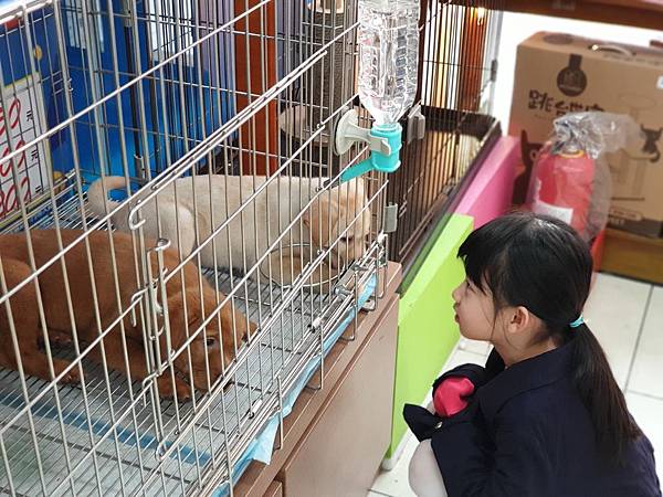 亞亞的採購forマル (4).jpg