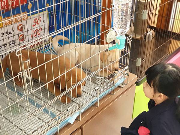 亞亞的採購forマル (2).jpg