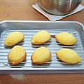 手作檸檬餅 (9).jpg