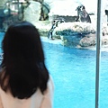 中國廣東省長隆企鵝酒店：帝企鵝自助餐廳 (54).jpg