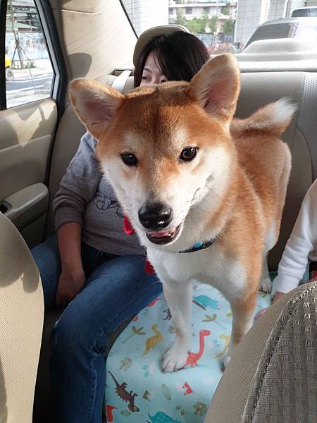 マル送洗下午茶 (2).jpg