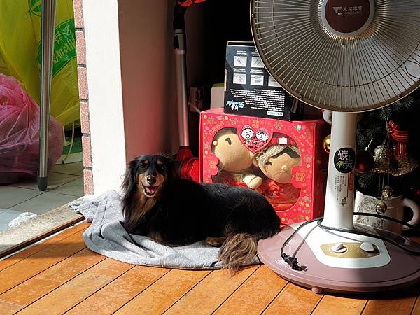 亞亞的2020新年大餐《日場》 (14).jpg