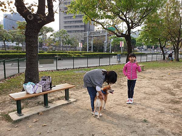 マル的北勢湖公園 (5).jpg