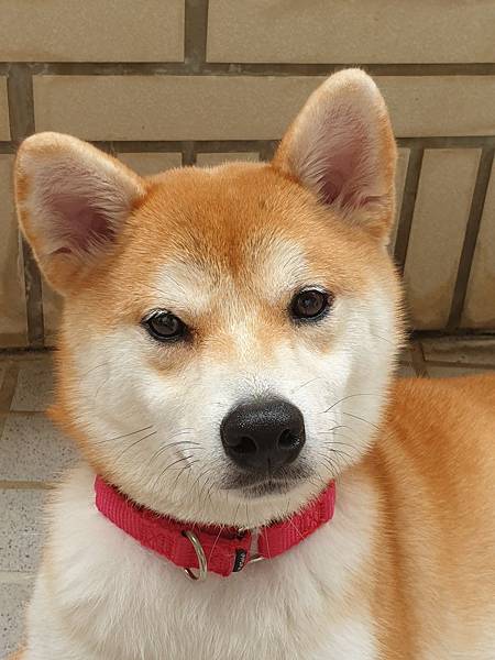 マル的日光浴 (5).jpg