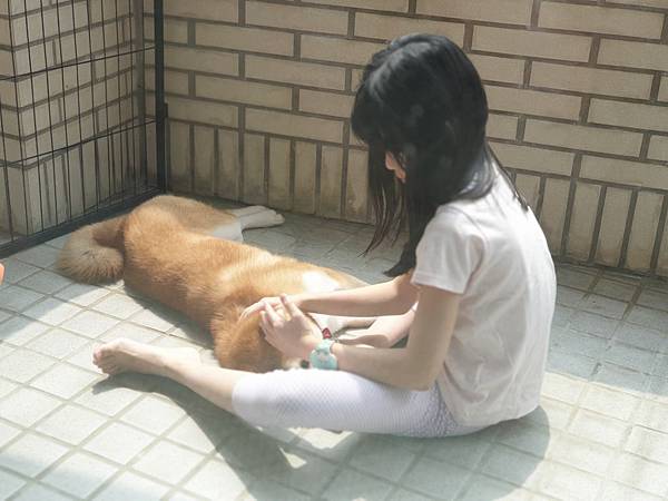 マル的日光浴 (14).jpg