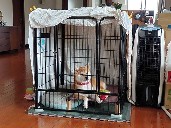 マル的日光浴 (24).jpg