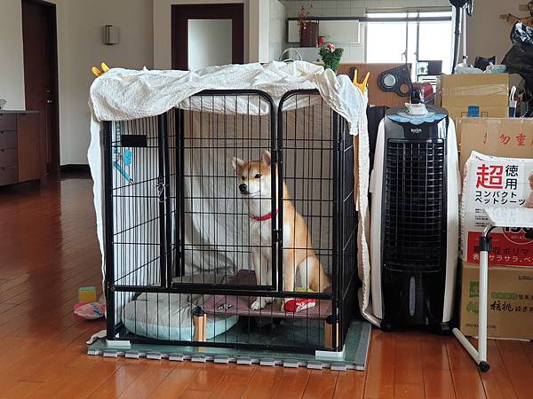 マル的日光浴 (25).jpg