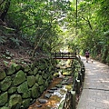 亞亞的登山紀行《虎山自然步道》 (37).jpg